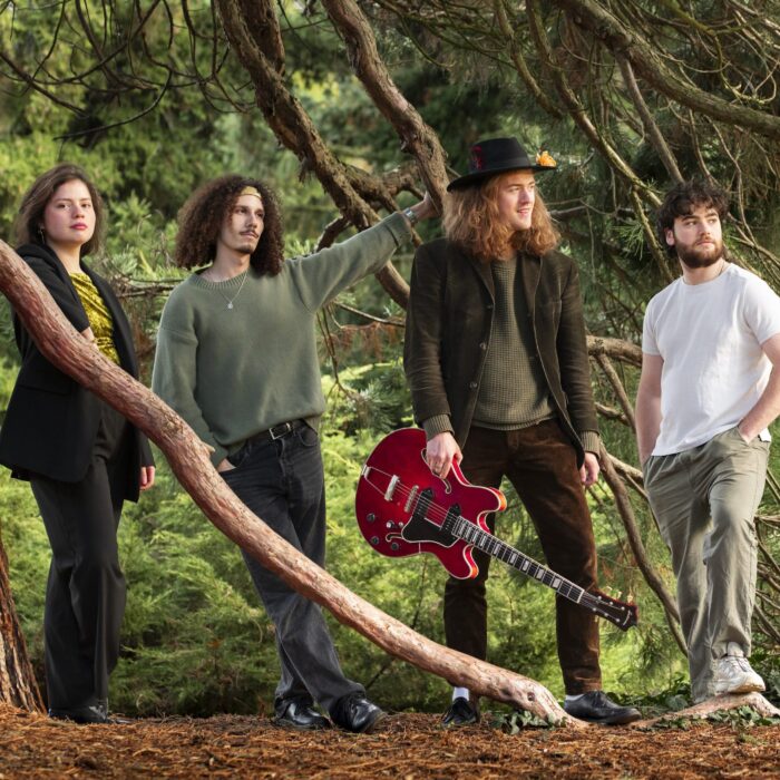 Evergreen - Sunset Sunside